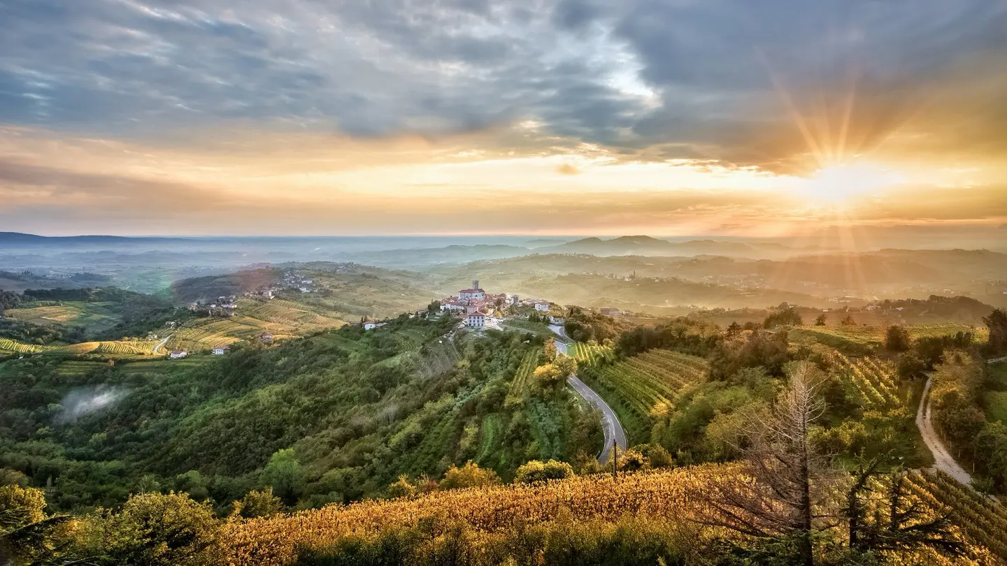 Terraced vineyard landscape in Brda