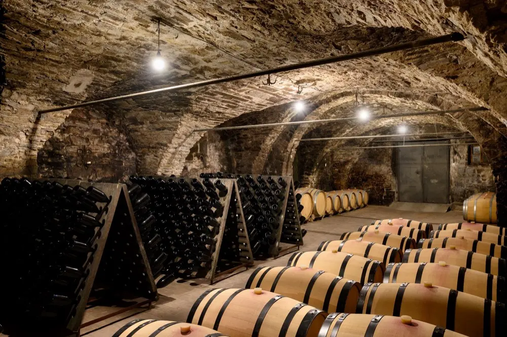 Wine tasting in Goriška Brda